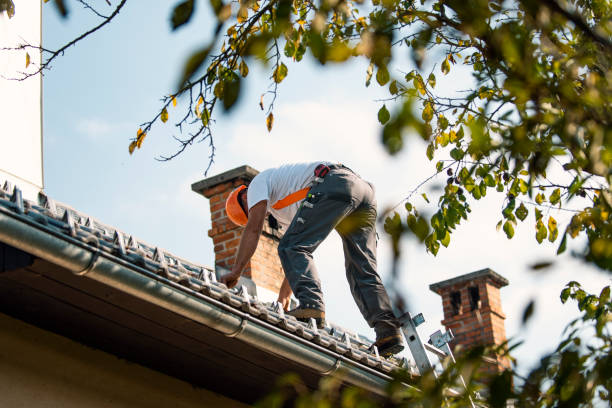 Best Storm Damage Roof Repair  in Oneida, NY